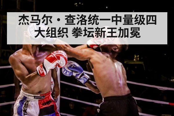 boxing punch action