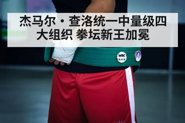boxing championship belt